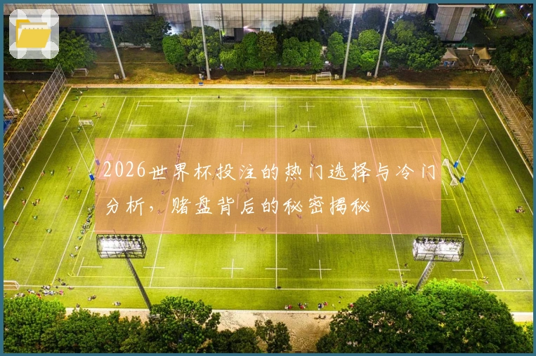 2026世界杯投注的热门选择与冷门分析，赌盘背后的秘密揭秘