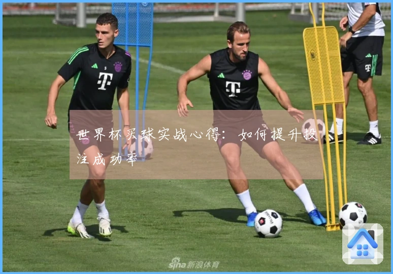 世界杯买球实战心得：如何提升投注成功率