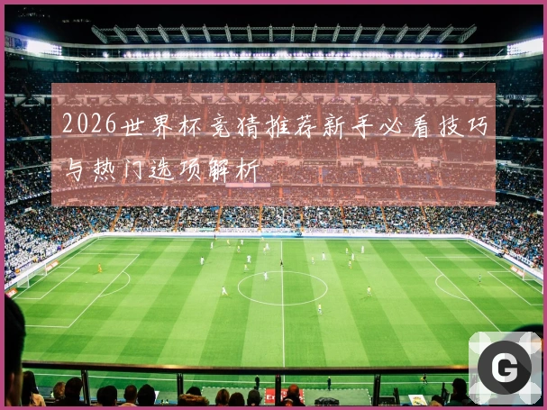 2026世界杯竞猜推荐新手必看技巧与热门选项解析